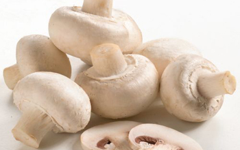 9ab02a357284a72fe2f56b71923b6efc